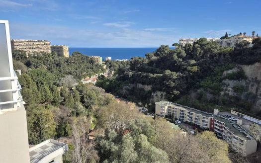 2 pièces meublé parking terrasse piscine