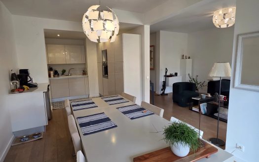 3p 87m2 garage cave HAUT CIMIEZ