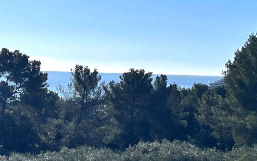 5P Domaine du Loup – Vue Mer et Parc