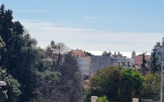 3P RENOVATION QUALITE- BALCON- VUE DEGAGEE