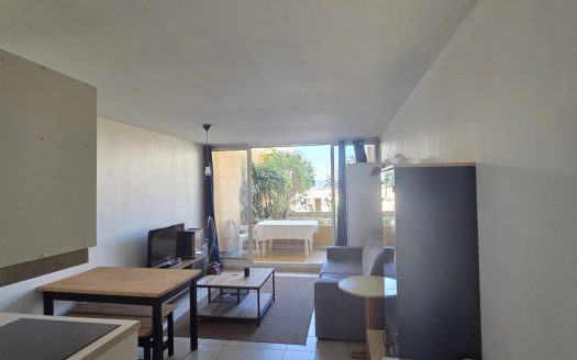 2p terrasse et parking THEOULE SUR MER